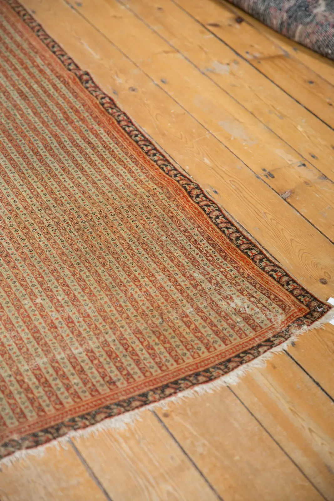 4x6 Antique Fine Senneh Rug