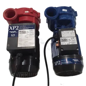 Aqua-Flo XP2 1.5HP - 2-Speed Flo-Master - Spa Jet Booster Pump - NLS