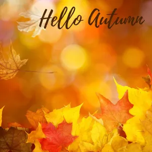 Hello Autumn!