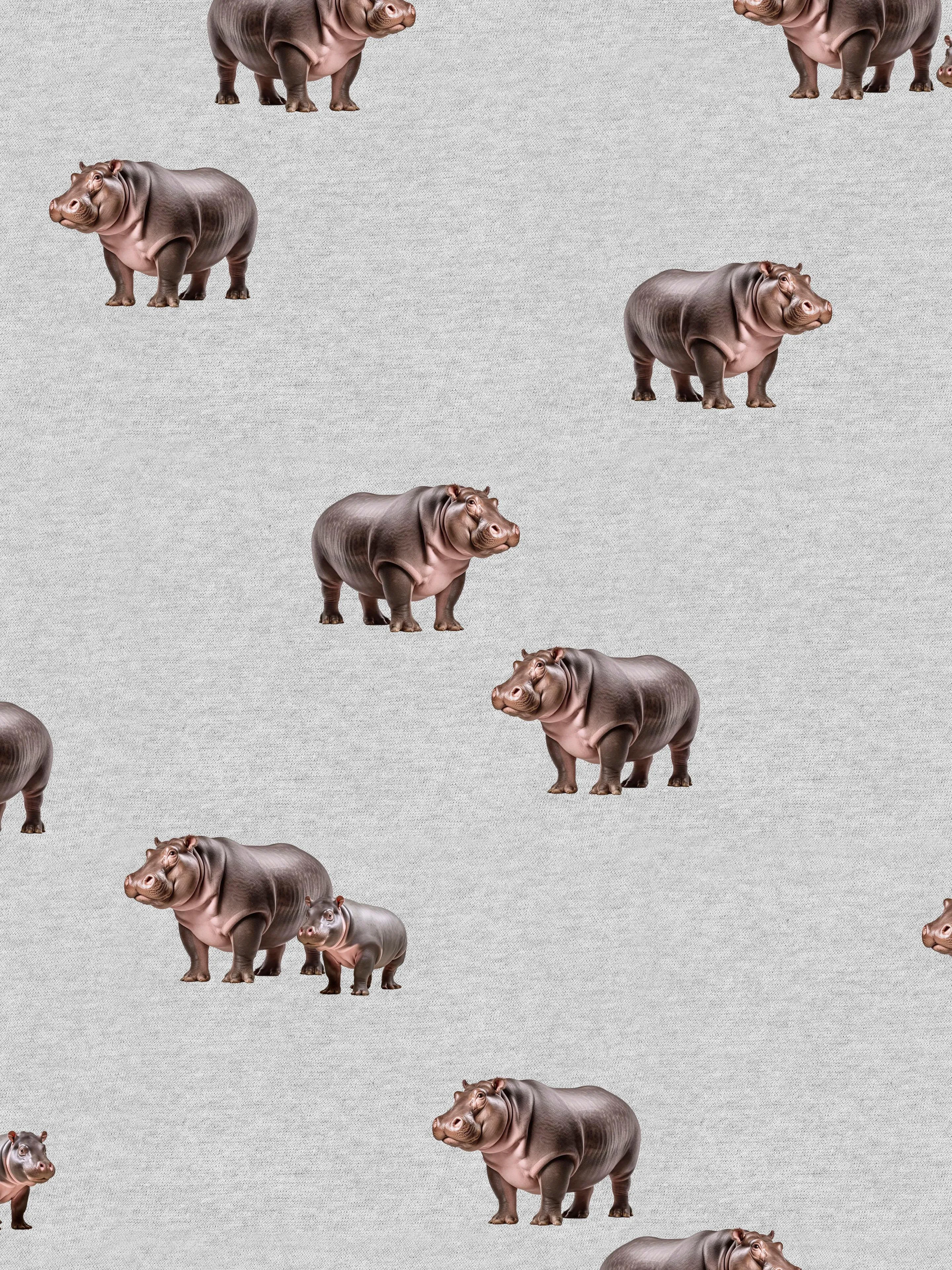 Hippos Sweater en Broek set Heren