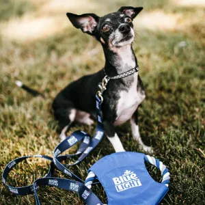 Labatt Blue Light Pet Leash