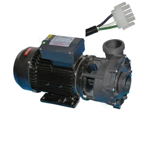 LP300 Pro Series 3.0HP - LX Whirlpool - Single-speed Jet Booster Pump