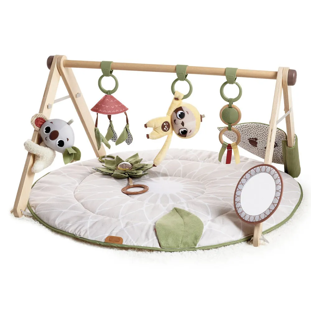 MINI GYM BUHO DELUXE CHIC