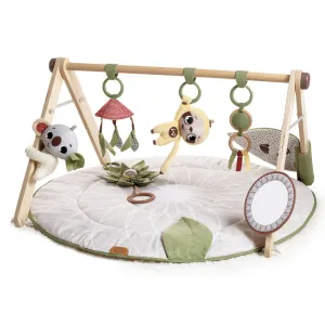 MINI GYM BUHO DELUXE CHIC