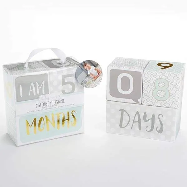 My First Milestone Baby Age Blocks