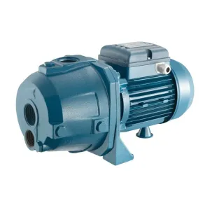 Pentax Centrifugal Water Pump 1HP - AP100-4/01