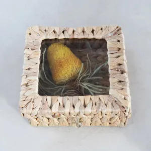 Seagrass Box