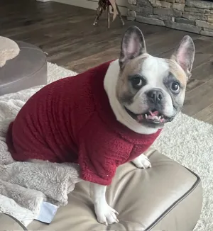 Soft Plush Pullover Burgundy