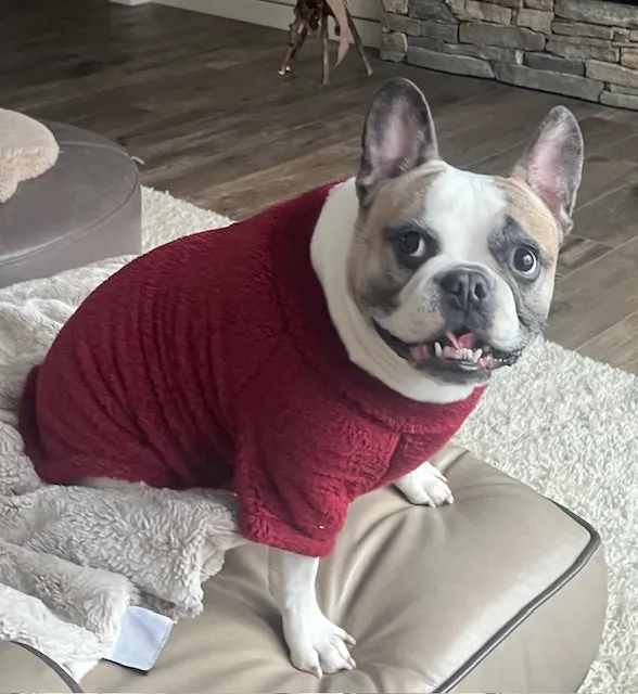 Soft Plush Pullover Burgundy