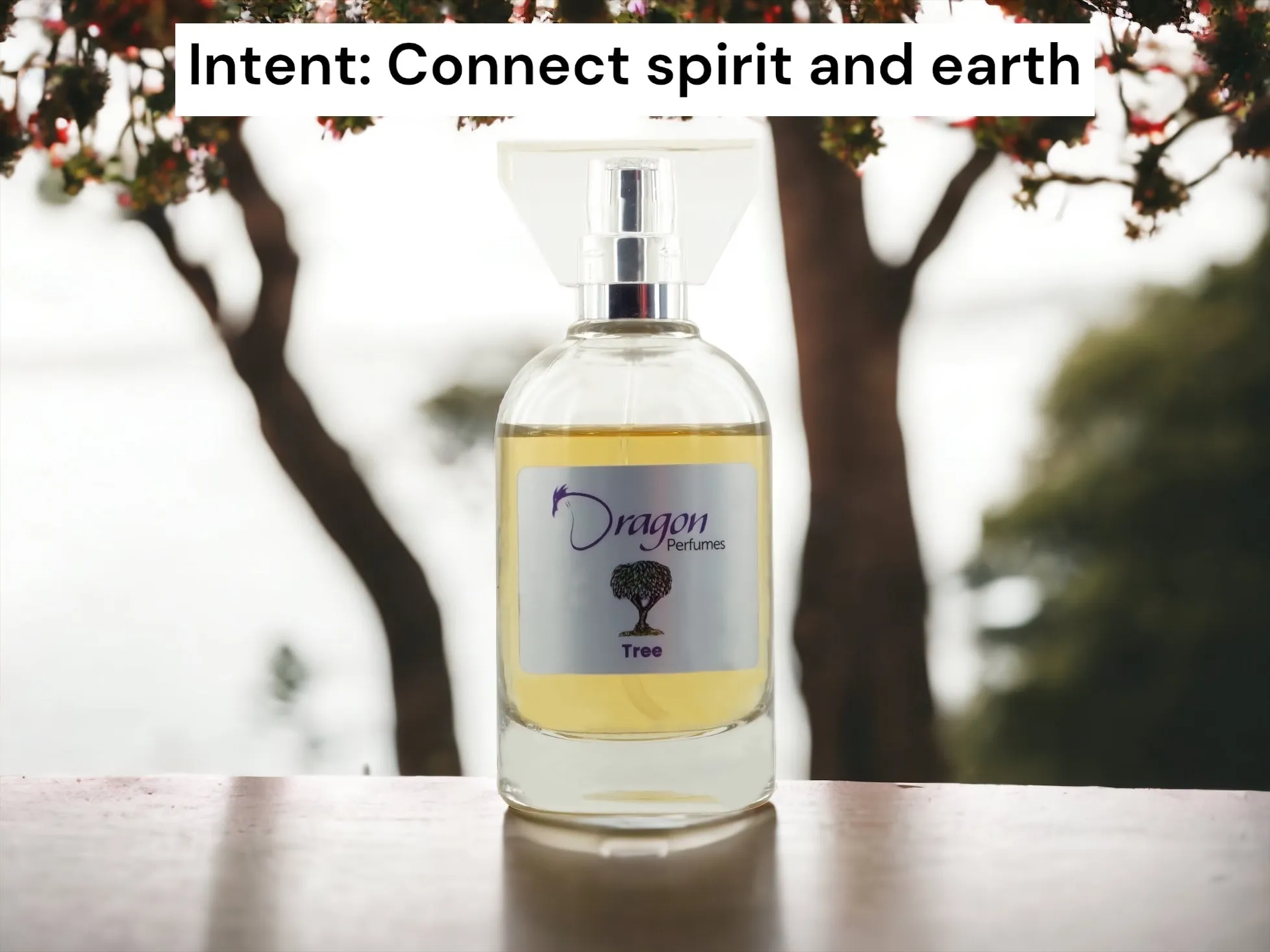 Tree - 50ml Spray