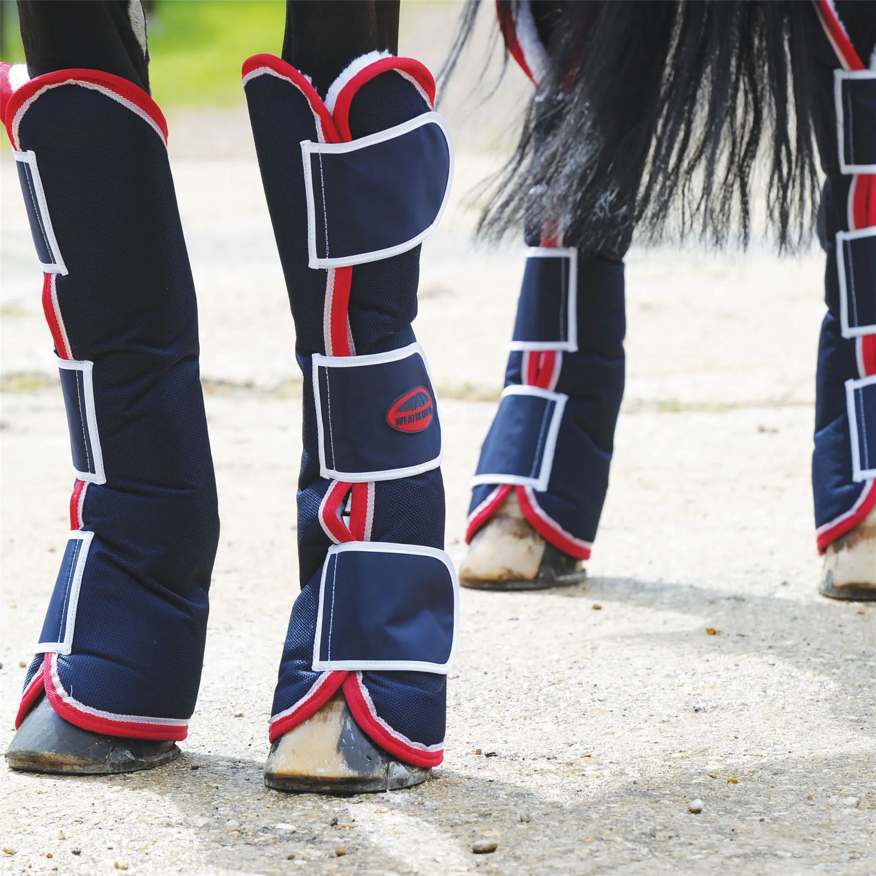 Weatherbeeta Travel Boots Set Of 4